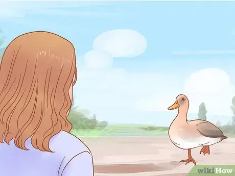 Imagen titulada Take Care of Ducklings Step 14