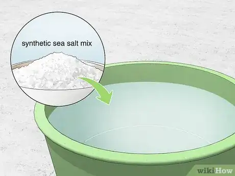Imagen titulada Start a Saltwater Aquarium Step 18
