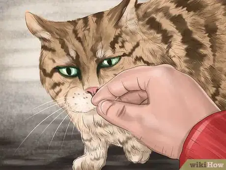 Imagen titulada Approach a Stray Cat Step 2