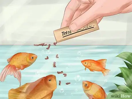 Imagen titulada Keep Your Fish from Dying Step 5