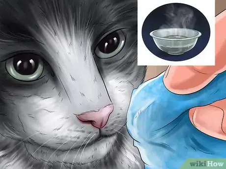 Imagen titulada Treat a Cat With a Cold Step 3