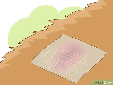 Imagen titulada Wrap a Dog’s Shoulder Step 4