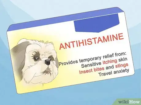 Imagen titulada Treat Skin Allergies in Golden Retrievers Step 13