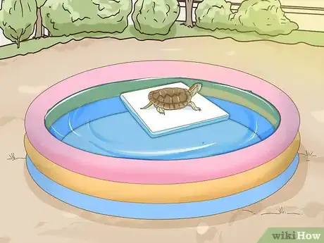 Imagen titulada Care for a Red Eared Slider Turtle Step 18