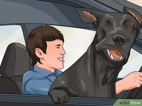 Imagen titulada Keep Your Dog from Being Bored Step 3