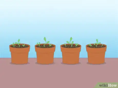 Imagen titulada Propagate Azaleas Step 41