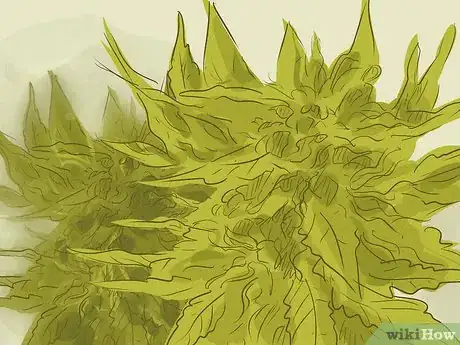 Imagen titulada Get Rid of Weed Smell Step 17