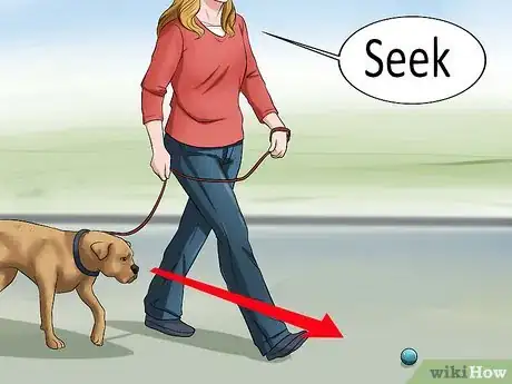 Imagen titulada Teach a Dog to Track Step 6
