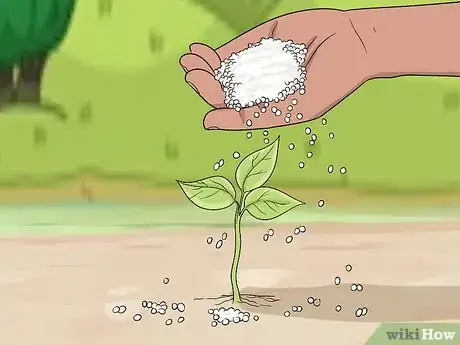 Imagen titulada Apply Urea Fertilizer Step 3