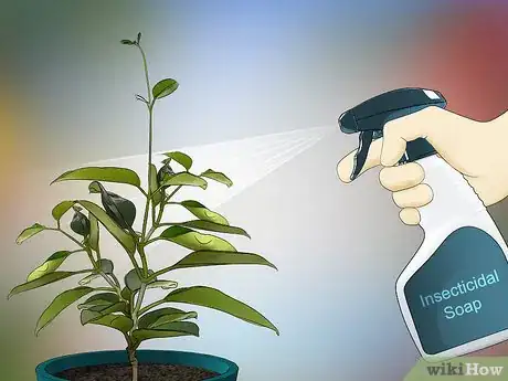 Imagen titulada Grow Jasmine from Cuttings Step 23