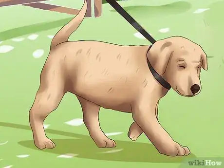 Imagen titulada Get Your Puppy to Stop Biting Step 18