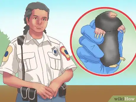 Imagen titulada Catch Moles Step 16