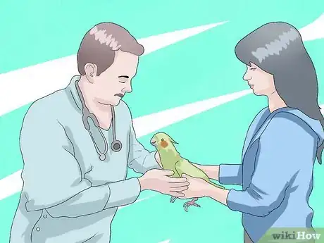 Imagen titulada Take Care of a Cockatiel Step 16