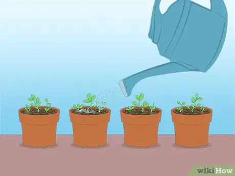 Imagen titulada Propagate Azaleas Step 46
