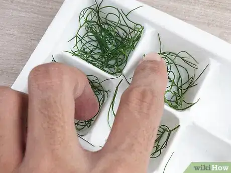 Imagen titulada Preserve Fennel Step 6