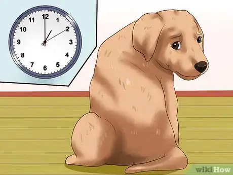 Imagen titulada Get Your Puppy to Stop Biting Step 20