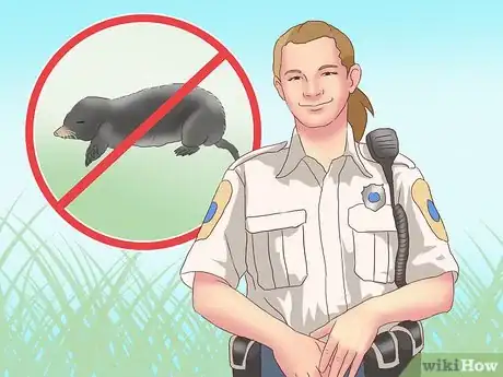 Imagen titulada Catch Moles Step 20