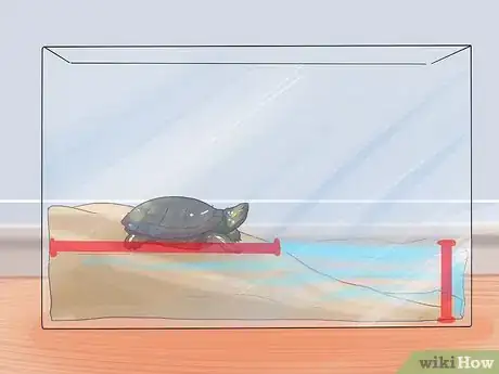 Imagen titulada Keep Your Turtle Happy Step 2
