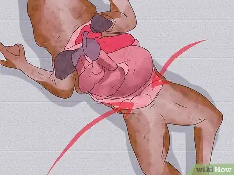 Imagen titulada Dissect a Frog Step 24