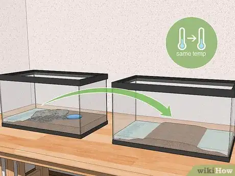 Imagen titulada Look After a Turtle Step 14