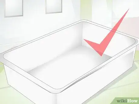 Imagen titulada Take Care of a Baby Tortoise Step 1