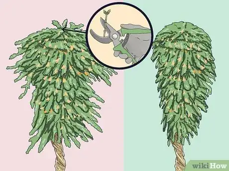 Imagen titulada Prune a Trumpet Vine Step 9