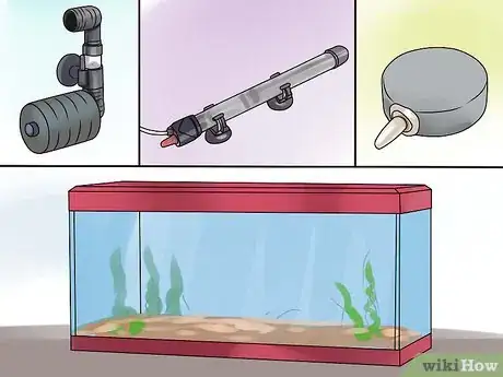 Imagen titulada Identify Finrot Step 9