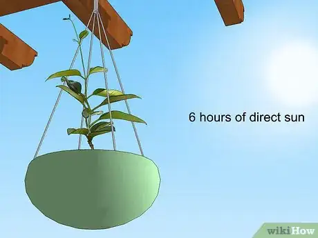 Imagen titulada Grow Jasmine from Cuttings Step 18