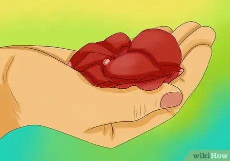 Imagen titulada Keep Rose Petals Fresh Step 11Bullet1