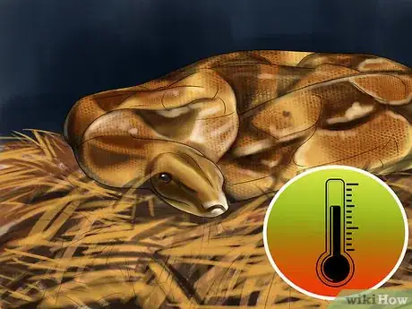 Imagen titulada Get a Pet Snake Step 9