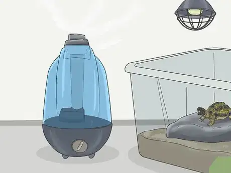 Imagen titulada Make A Habitat for Hermann’s Tortoises Step 9