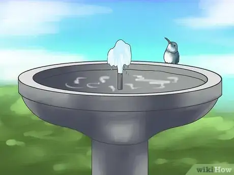 Imagen titulada Attract Hummingbirds Step 12
