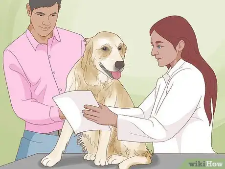 Imagen titulada Treat Skin Allergies in Golden Retrievers Step 11