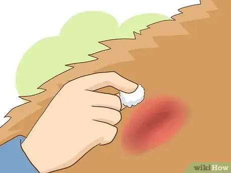 Imagen titulada Wrap a Dog’s Shoulder Step 3