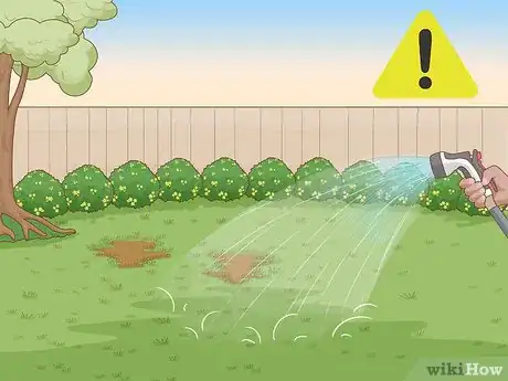 Imagen titulada Remove White Grubs from Lawns Step 4