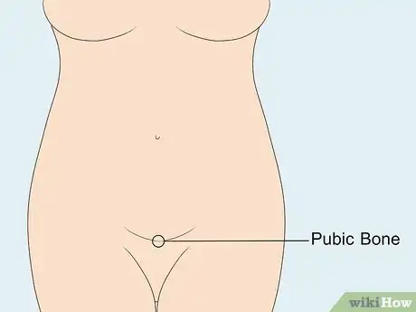 Imagen titulada Measure Fundal Height Step 12