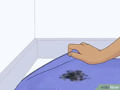 Imagen titulada Kill Black Mold Step 7