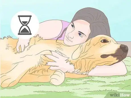 Imagen titulada Treat Skin Allergies in Golden Retrievers Step 21