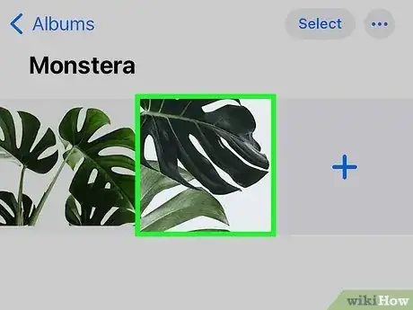 Imagen titulada Send Files via Bluetooth on iPhone Step 7
