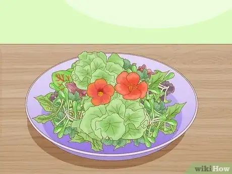 Imagen titulada Grow Nasturtiums Step 11