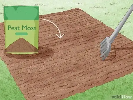 Imagen titulada Grow Crepe Myrtle Step 4