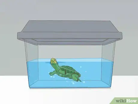 Imagen titulada Care for a Red Eared Slider Turtle Step 13