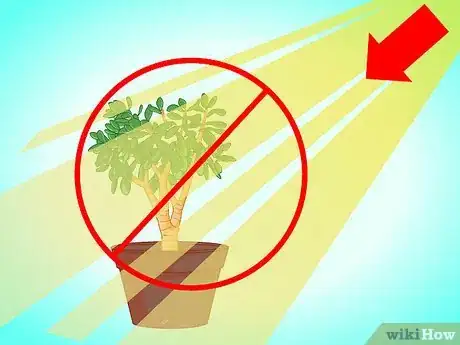 Imagen titulada Transplant a Jade Plant Step 16