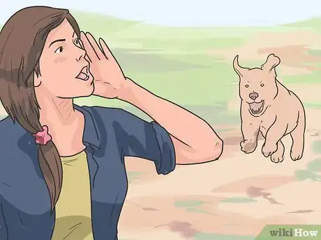 Imagen titulada Break Up a Dog Fight Step 14