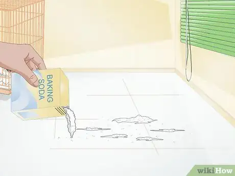 Imagen titulada Clean up After Your Guinea Pig Step 5