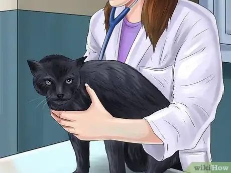 Imagen titulada Treat a Cat With a Cold Step 7