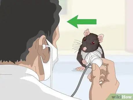 Imagen titulada Spot Common Signs of Illness in Mice Step 8