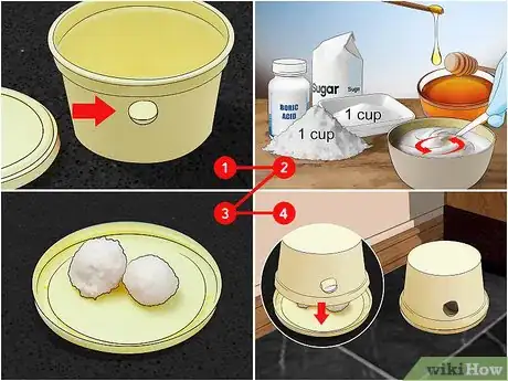 Imagen titulada Kill Cockroaches or Ants Without Pesticide Step 3