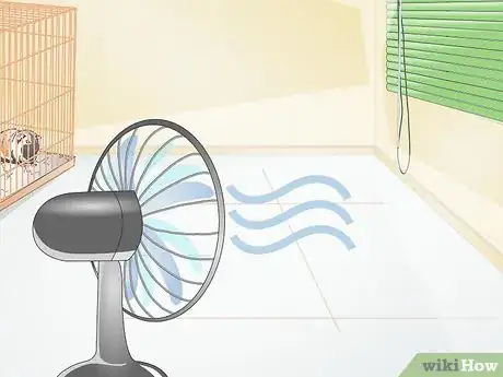 Imagen titulada Clean up After Your Guinea Pig Step 6