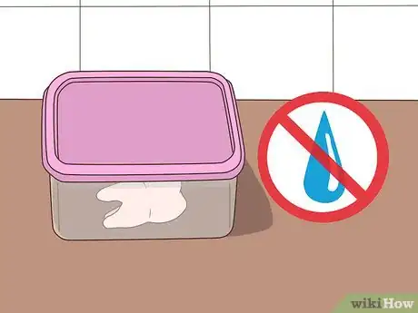 Imagen titulada Preserve Extracted Teeth Step 8